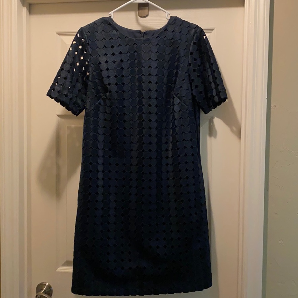 Banana Republic SS Circle Lace dress